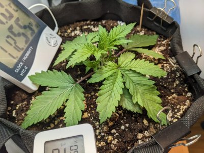 PXL_20230630_085724573.MP.jpg PXL_20230630_085724573.MP.jpg