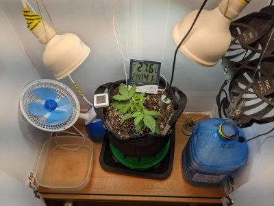 PXL_20230630_184849445.MP.jpg PXL_20230630_184849445.MP.jpg