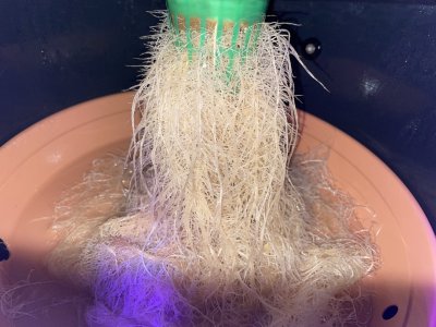 074D0728-4D34-4663-AC2C-7BF6BAE6173B.jpeg 074D0728-4D34-4663-AC2C-7BF6BAE6173B.jpeg