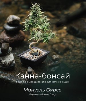 IMG_8414.jpeg IMG_8414.jpeg