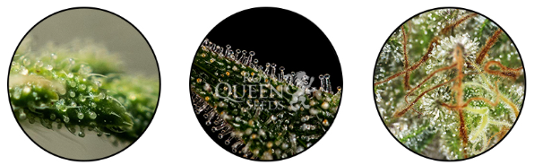 1688646268929.png 1688646268929.png