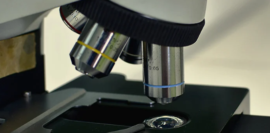 1688646417167.png 1688646417167.png