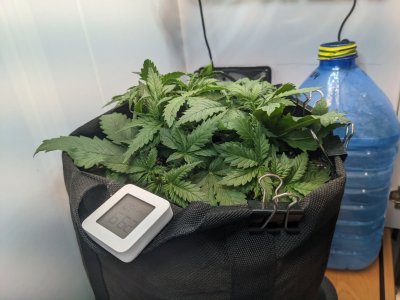 PXL_20230707_053140630.MP.jpg PXL_20230707_053140630.MP.jpg