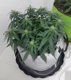 20230710_194745.jpg 20230710_194745.jpg