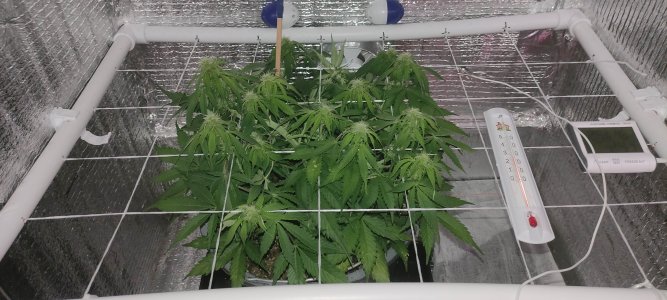 1639573423918-min.jpg 1639573423918-min.jpg