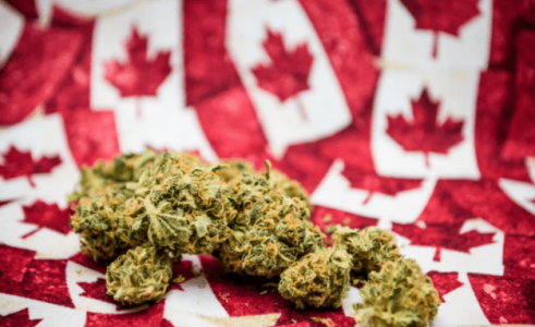 1640109599401.png 1640109599401.png