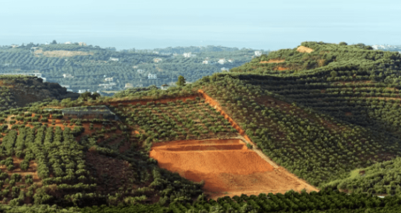 1640109930356.png 1640109930356.png