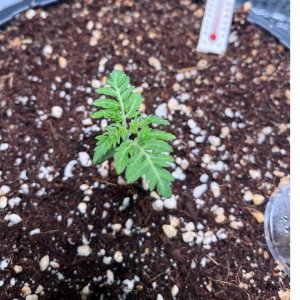 IMG_22122021_143010_(1080_x_1080_pixel).jpg IMG_22122021_143010_(1080_x_1080_pixel).jpg