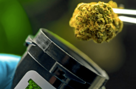 1640199635824.png 1640199635824.png