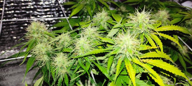 1640682655183-min.jpg 1640682655183-min.jpg