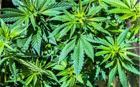 1640772528439.png 1640772528439.png