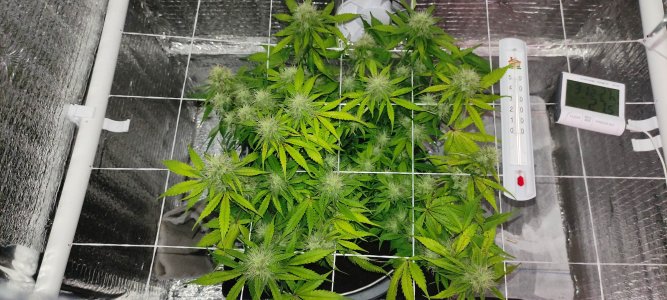 1640793119652-min.jpg 1640793119652-min.jpg