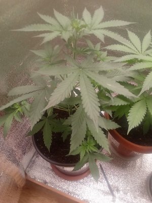 photo_2023-07-12_13-10-20 (2).jpg