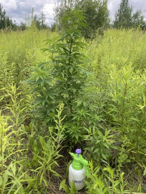 8AA78CD7-743D-4808-9ACF-1B4476B1A952.jpeg 8AA78CD7-743D-4808-9ACF-1B4476B1A952.jpeg