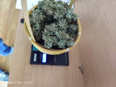 IMG_20230714_102744.jpg IMG_20230714_102744.jpg