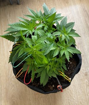 photo_2023-07-14_12-52-44.jpg photo_2023-07-14_12-52-44.jpg