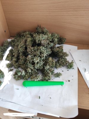 InkedIMG_20230714_114213.jpg InkedIMG_20230714_114213.jpg