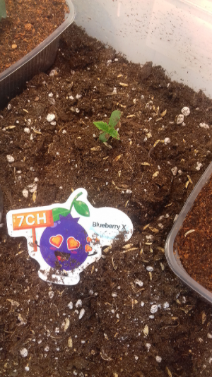 Screenshot_2023-07-15-08-48-26.png Screenshot_2023-07-15-08-48-26.png