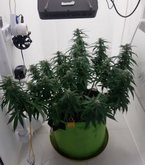 20230716_101744.jpg 20230716_101744.jpg