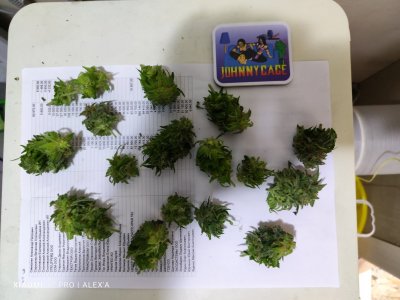 IMG_20230717_110622.jpg IMG_20230717_110622.jpg