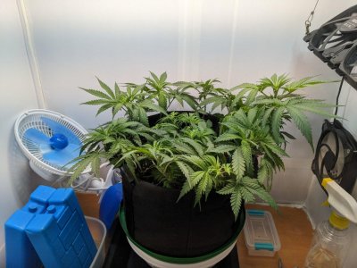 PXL_20230718_200659650.MP.jpg PXL_20230718_200659650.MP.jpg