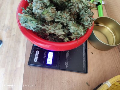 IMG_20230720_103452.jpg IMG_20230720_103452.jpg