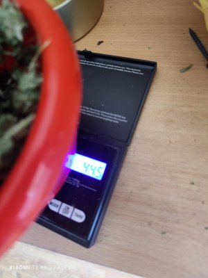 IMG_20230720_103406.jpg IMG_20230720_103406.jpg