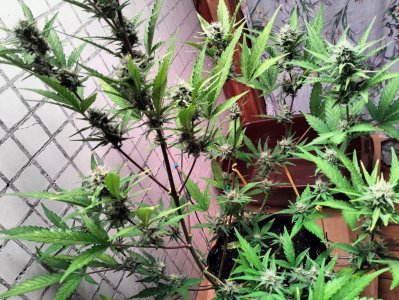 image-2023-07-24 05_08_12 (2).jpg