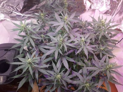 photo_2023-07-25_04-00-44.jpg photo_2023-07-25_04-00-44.jpg