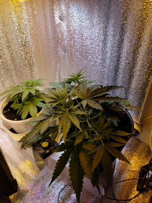 20230726_174021.jpg 20230726_174021.jpg