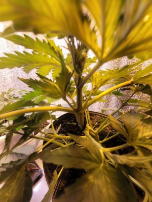 20230726_205756.jpg 20230726_205756.jpg