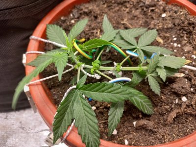 20230728_173724.jpg 20230728_173724.jpg