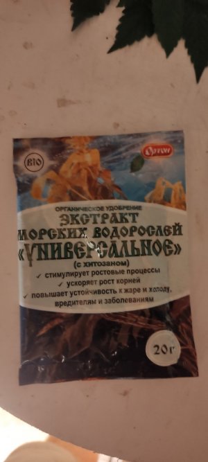 IMG_20230728_233755.jpg IMG_20230728_233755.jpg