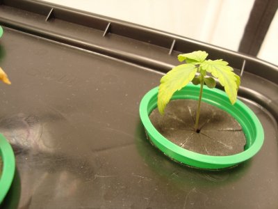 DSC00465.JPG DSC00465.JPG