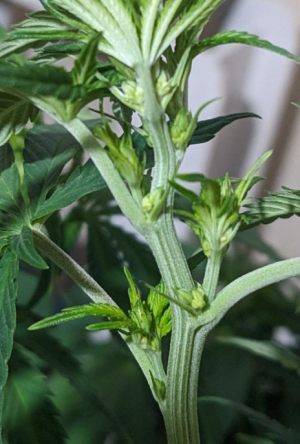 1691002348439.png 1691002348439.png