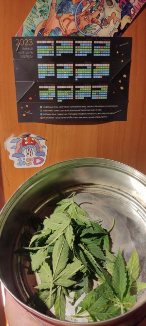 IMG_20230802_222216.jpg IMG_20230802_222216.jpg