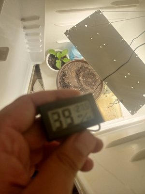 16913271127223892631125479735833.jpg 16913271127223892631125479735833.jpg