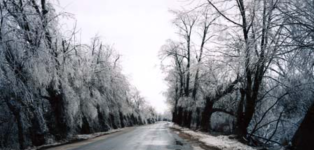 1691411382159.png 1691411382159.png