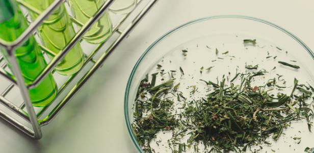 1629217762771.png 1629217762771.png