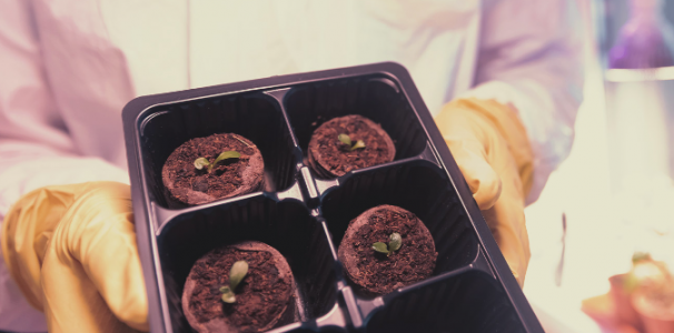 1629217818719.png 1629217818719.png