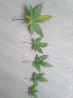 photo_2023-08-11_16-46-40 (2).jpg