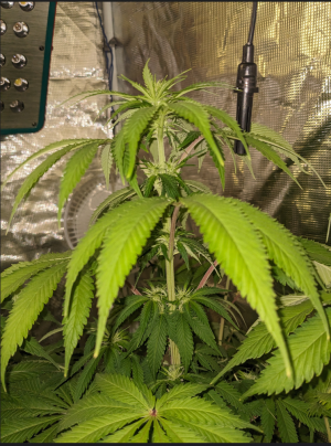 1691917321027.png 1691917321027.png