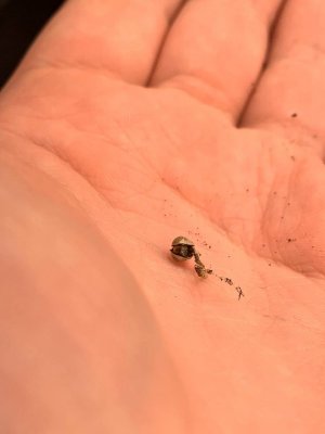 photo_2023-08-23_17-23-41.jpg photo_2023-08-23_17-23-41.jpg