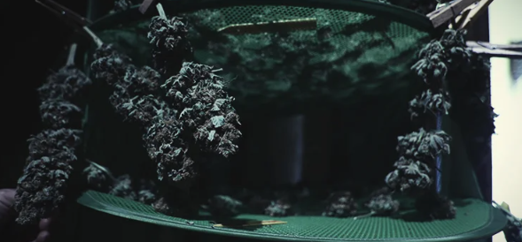 1692889164186.png 1692889164186.png