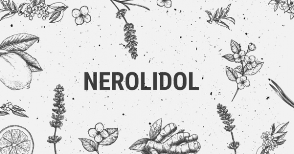 1693147535021.png 1693147535021.png