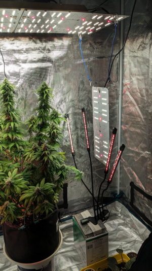 1694339602590.png 1694339602590.png