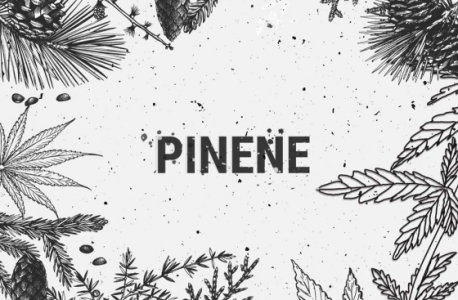 1694686094729.png 1694686094729.png