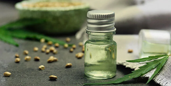 1694757922862.png 1694757922862.png