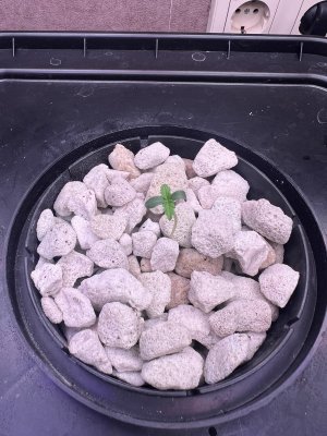 IMG_2680.jpeg IMG_2680.jpeg