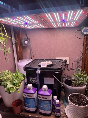 IMG_2678.jpeg IMG_2678.jpeg